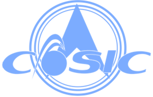 Casic logo